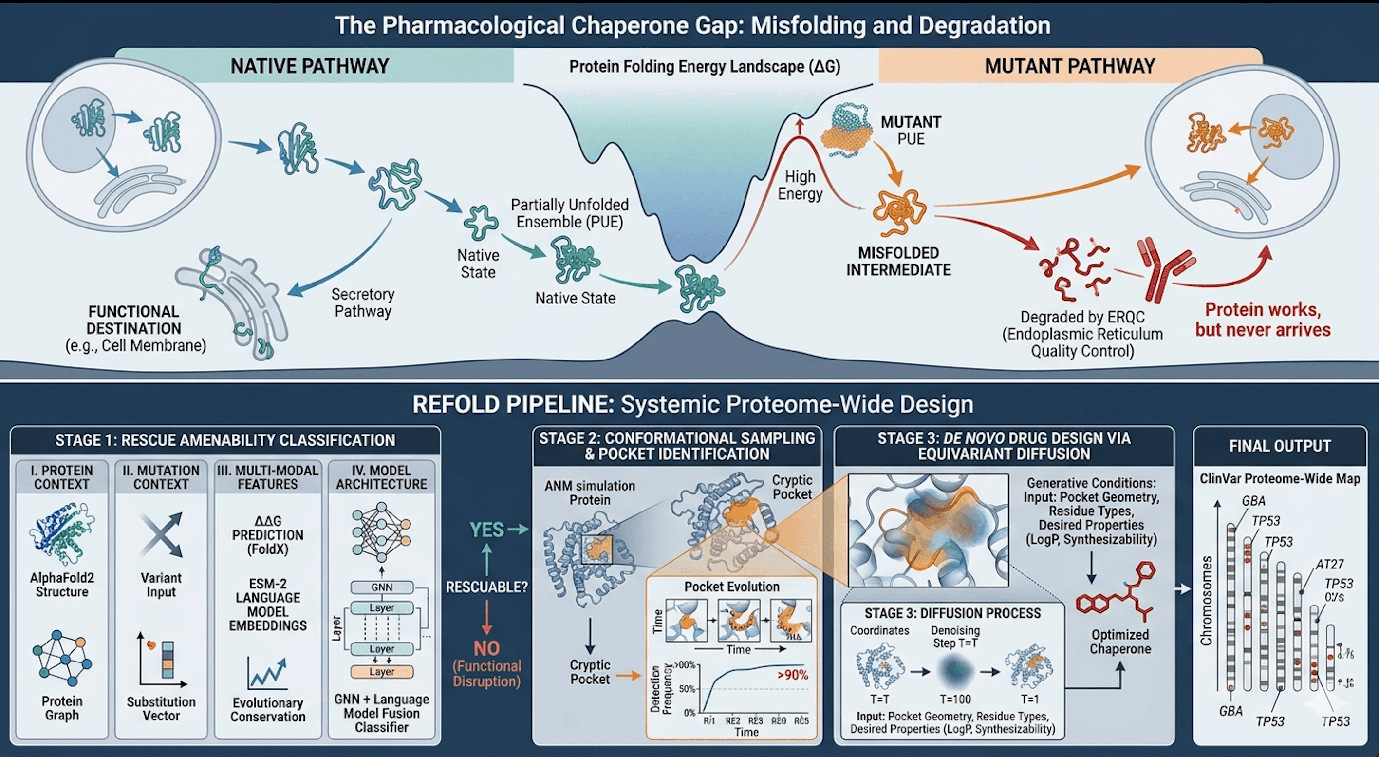 The Pharmacological Chaperone Gap and REFOLD Pipeline systemic overview
